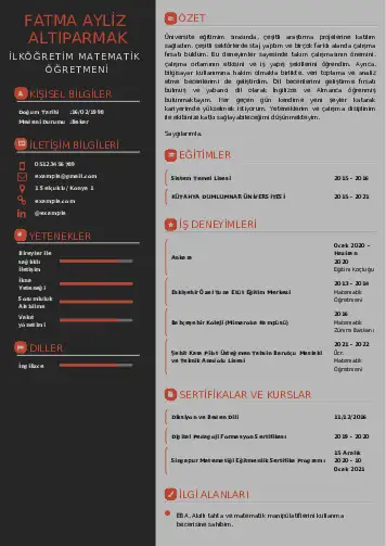 Matematik Öğretmeni Cv Örnekleri cv indir